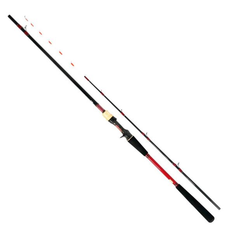 Daiwa Analystar Tachiuo Tenya 82-180/ R (Baitcasting 2 Piece)