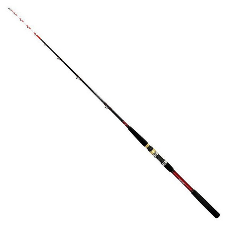Daiwa Analyster Ika Chokketsu H-155 (Baitcasting 1 Piece)