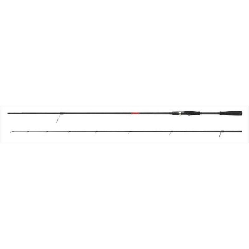 Apia Seabass Rod Foojin'Z Generous 94M (Spinning 2 Piece)