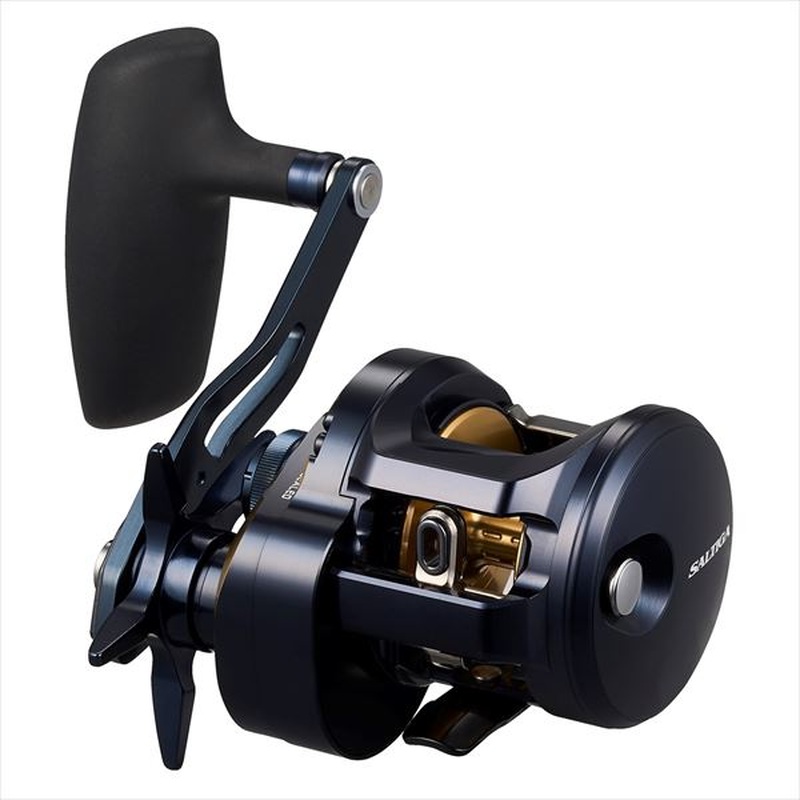 Daiwa 25 Saltiga 300 (Right handle)