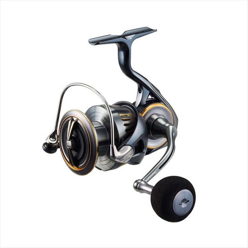 Daiwa 23 Airity LT5000D-CXH