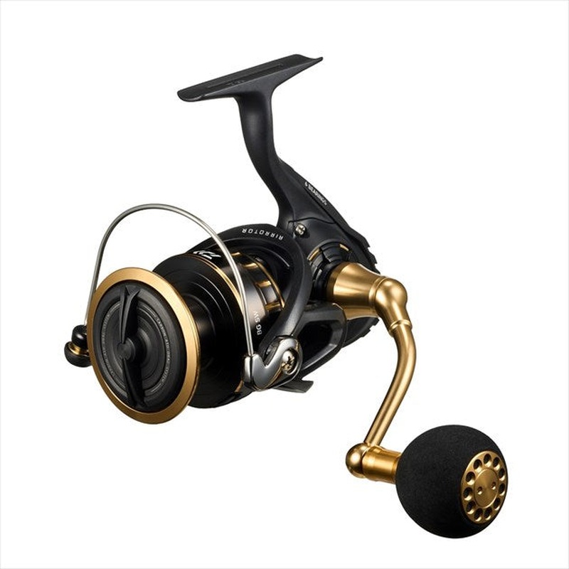 Daiwa 23 BG SW 6000D-P