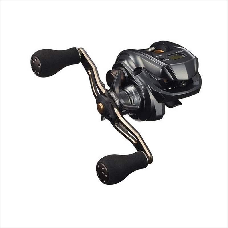 Daiwa 21 Tierra IC 100H(Right Hand)