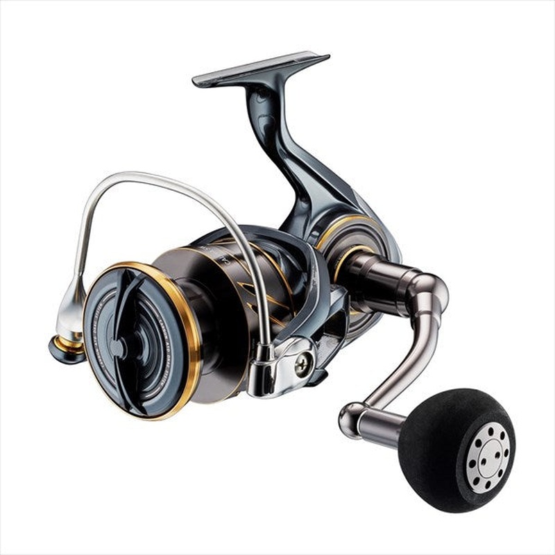 Daiwa 22 Caldia SW 8000-P