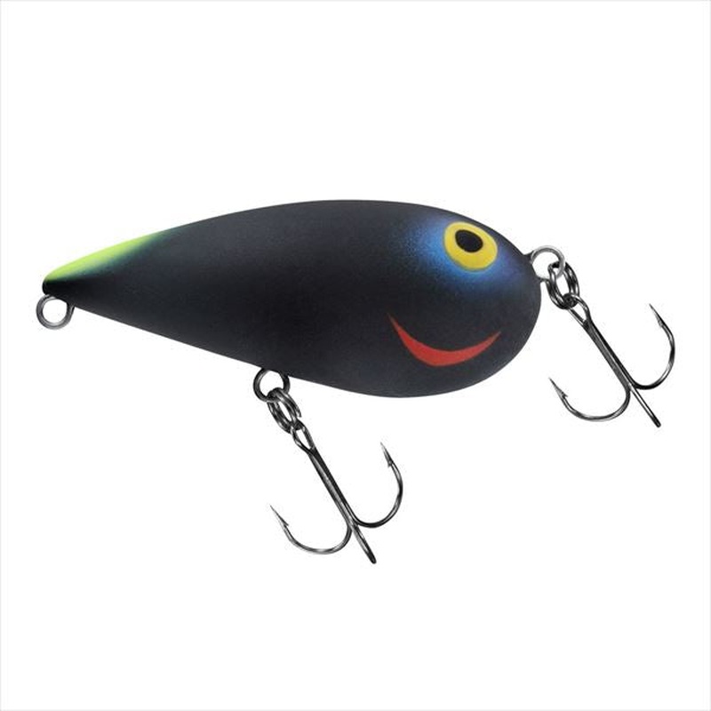 Daiwa Bass Lure Almond Black