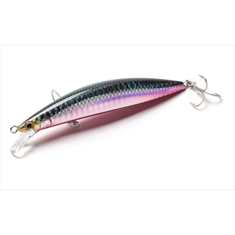 Jackson Seabass Lure Athlete+105SVG SKR Seguro Anchovy