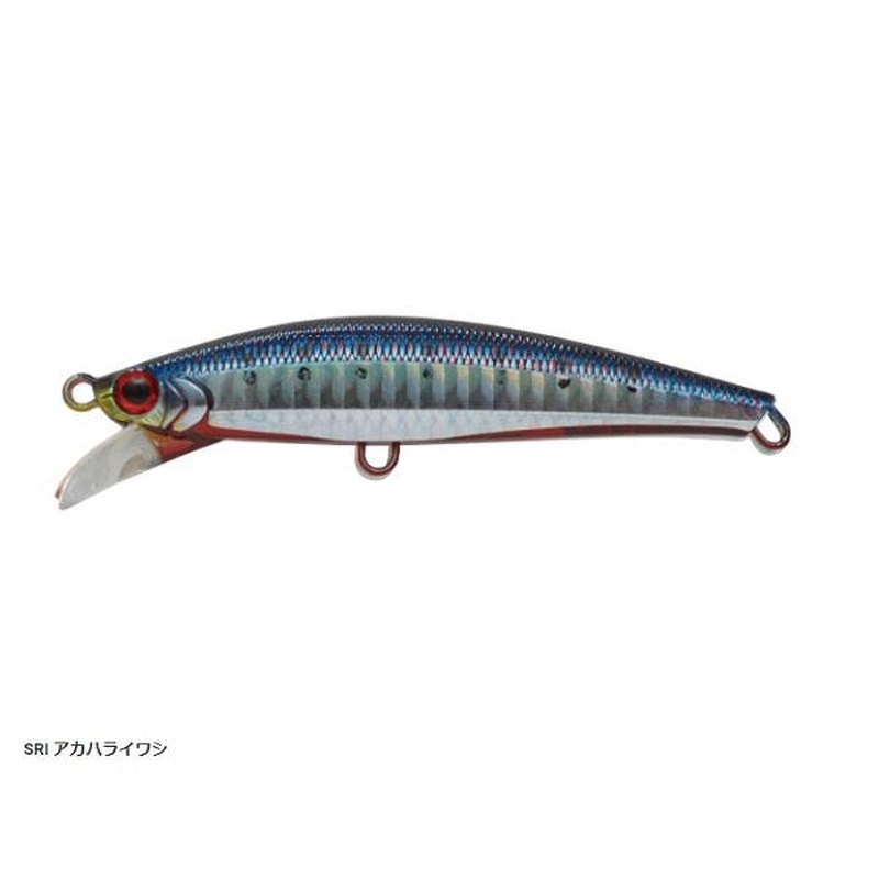 Jackson Seabass Lure Pintail Sagoshi Tune 20g SRI Redberry Sardine