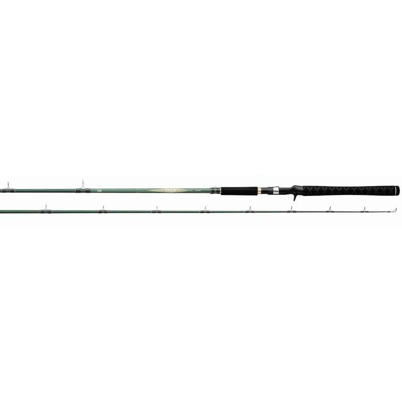 Daiwa TD Eye Series Trolling/Casting Rods