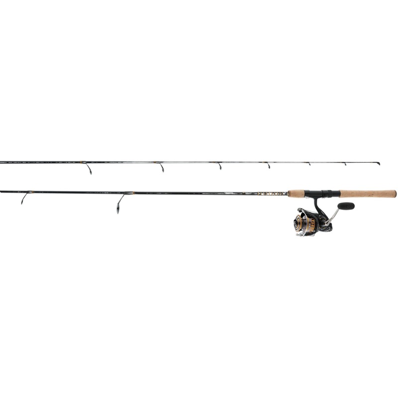 Daiwa BG Saltwater Spinning Combo