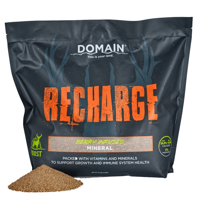 RECHARGE MINERAL 10LB BAG