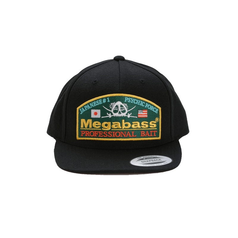 PSYCHIC SNAPBACK CAP