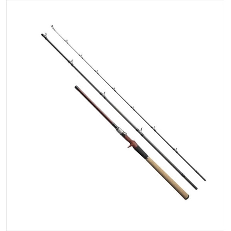 Fishman Seabass Rod Beams RIPLOUT 9.0M+ (Baitcasting 3 Piece)