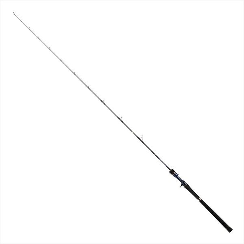 Daiwa 21 Saltiga R J62B-2 TG  (Baitcasting 1 Piece)