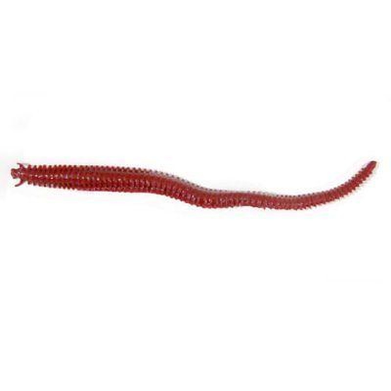 Berkley Gulp! 6 inch Scented Plastic Sandworm 10 pack