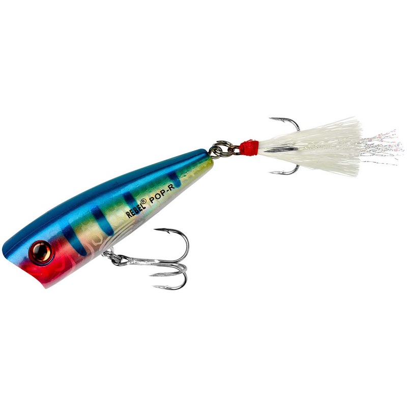 Rebel Pop-R Topwater Popper