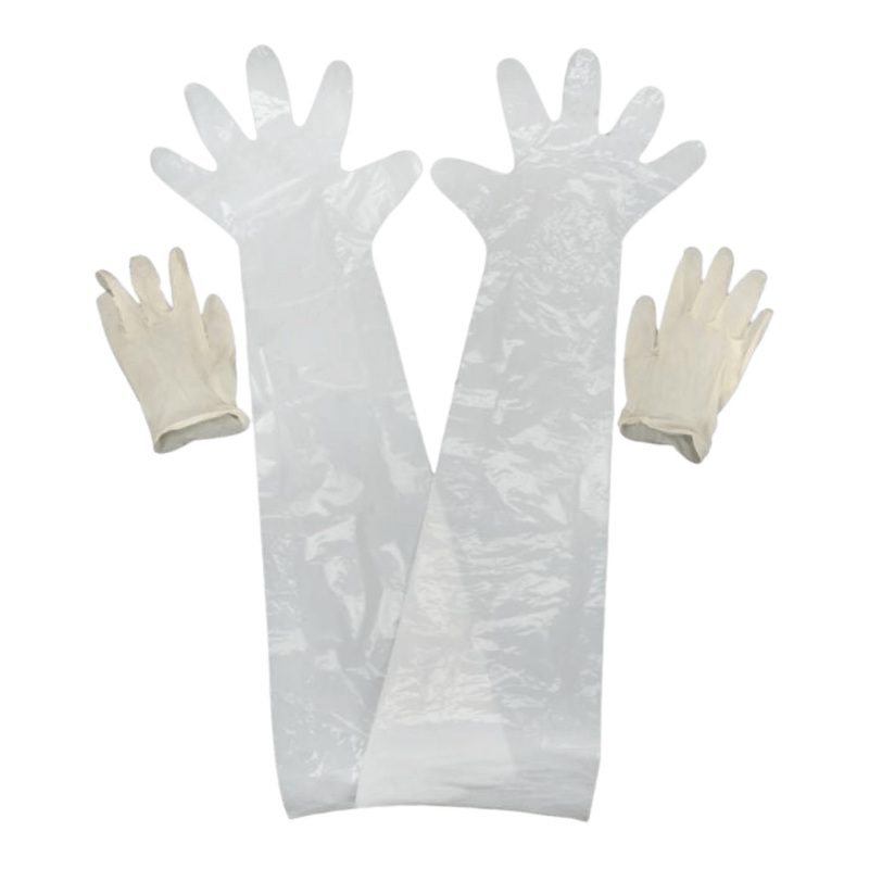 ALLEN FIELD DRESSING GLOVES CLEAR