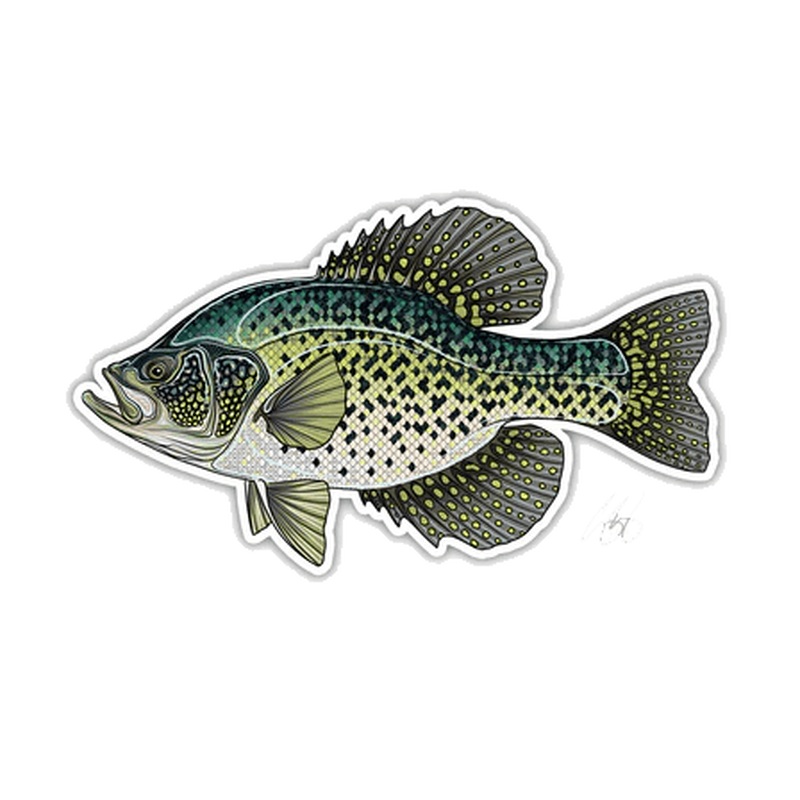 FISH DECALS