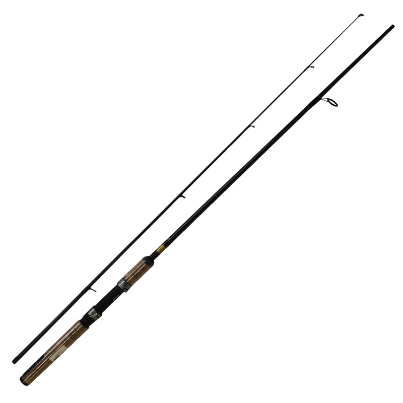 DWO SWEEPFIRE SPINNING ROD