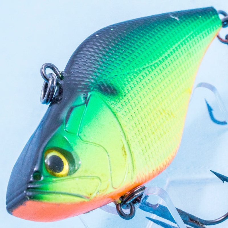 RISEBACKER Low [Used]