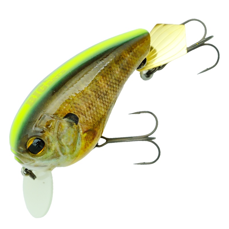 BIG BATS [Brand New]