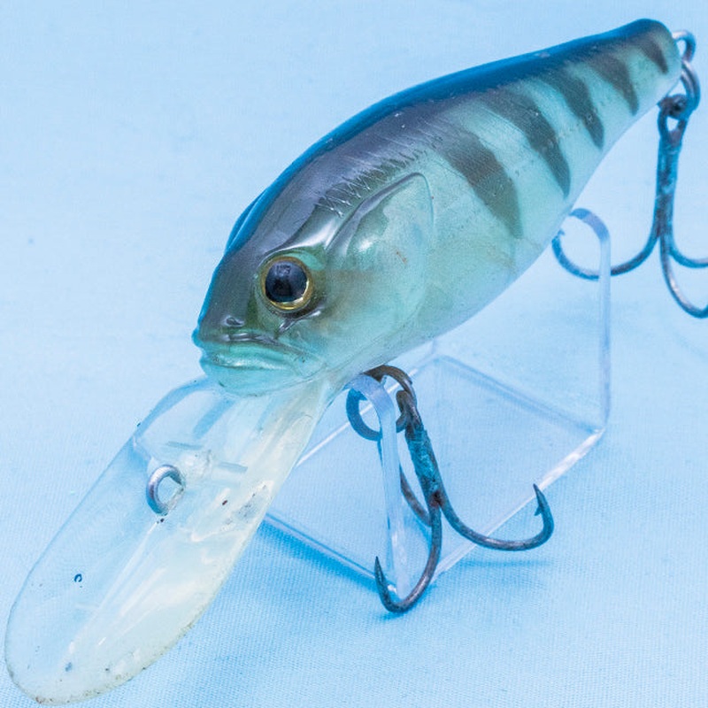 DC-60N SCARPIN [Used]