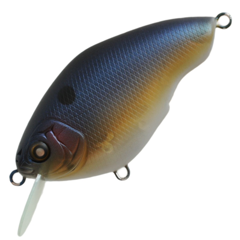 CHIPPAWA RB [Brand New]