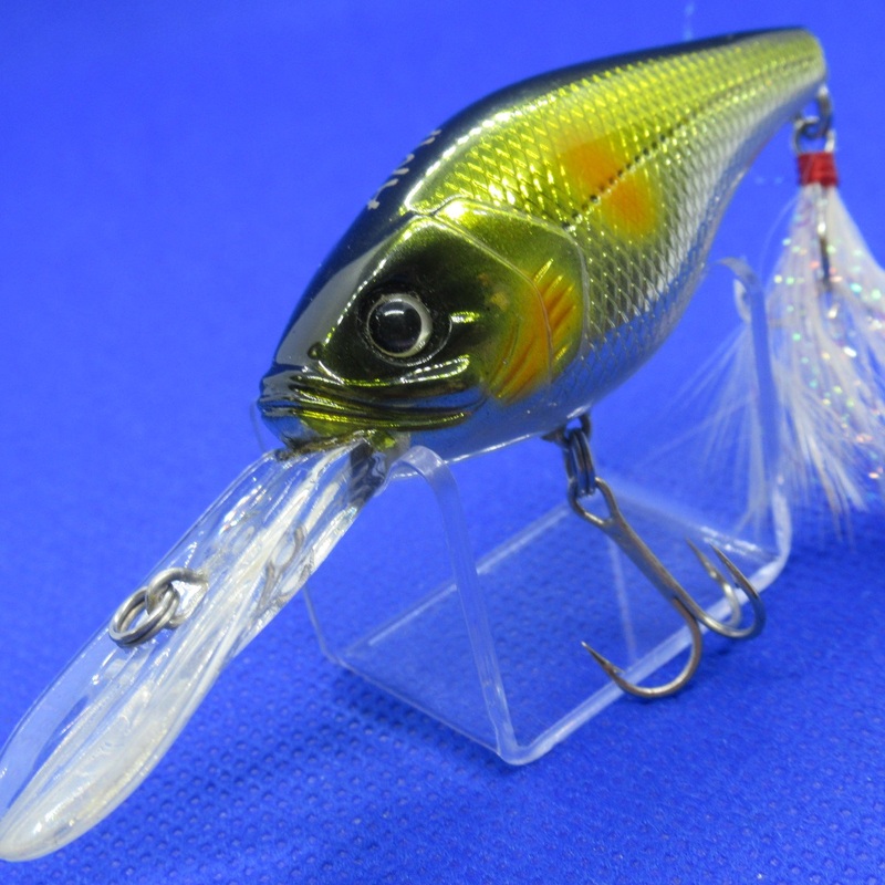 AMP MID RUNNER [Used]