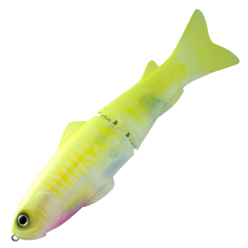 New SlideSwimmer 250 [Brand New]