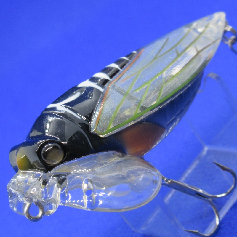 MAD CICADA [Used]