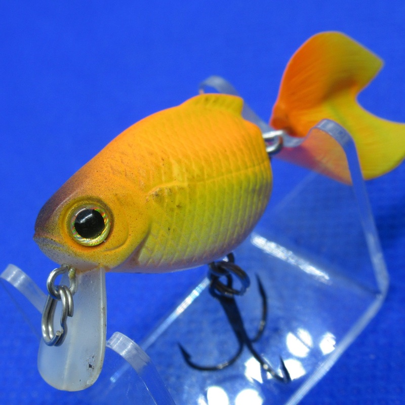 KINGYO KOAKA 40F [Used]