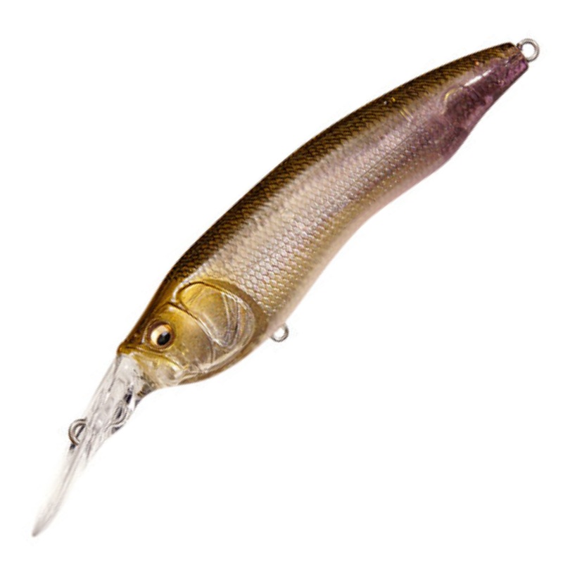 LIVE-X MODEL1 [Brand New]