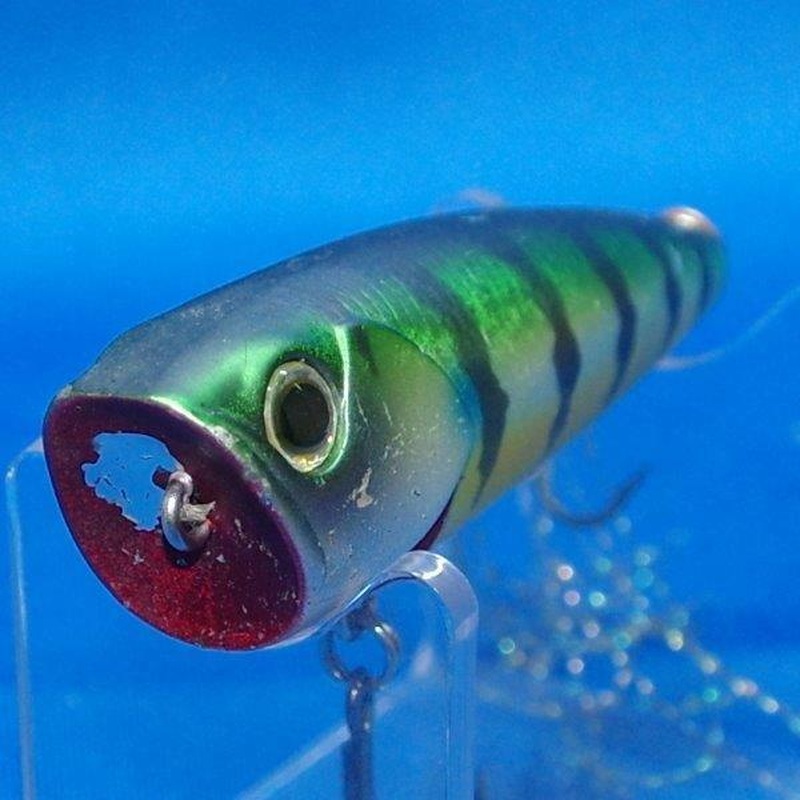 STEEZ POPPER 60F [Used]