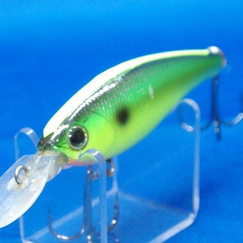 STEEZ SHAD SR [Used]