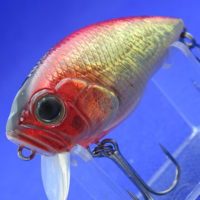 INCUBATOR RUSH60 [Used]