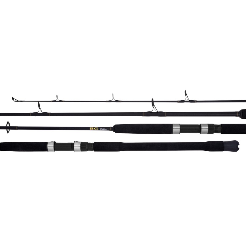 Daiwa 22 BG Bluewater Spin Fishing Rods