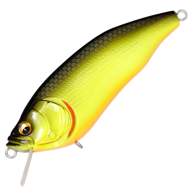 I x I FURIOUS 1.5 [Brand New]