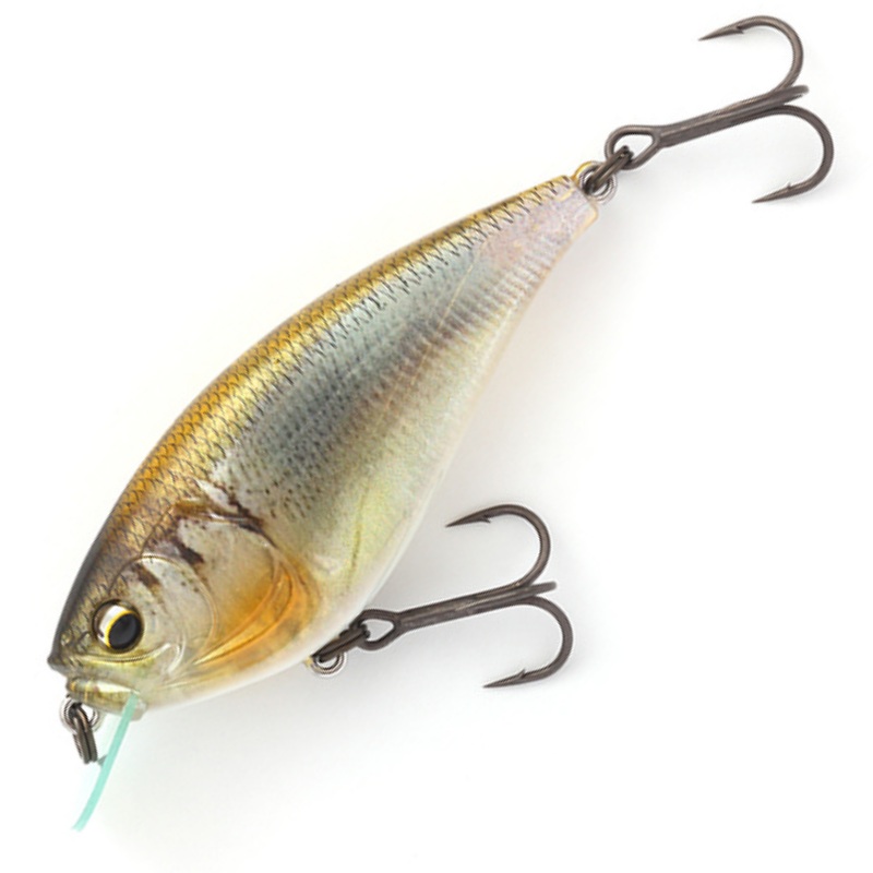 GEKIASA FLAT [Brand New]