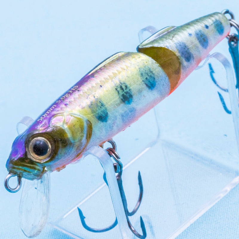 FAT LOACH DANGAN [Used]