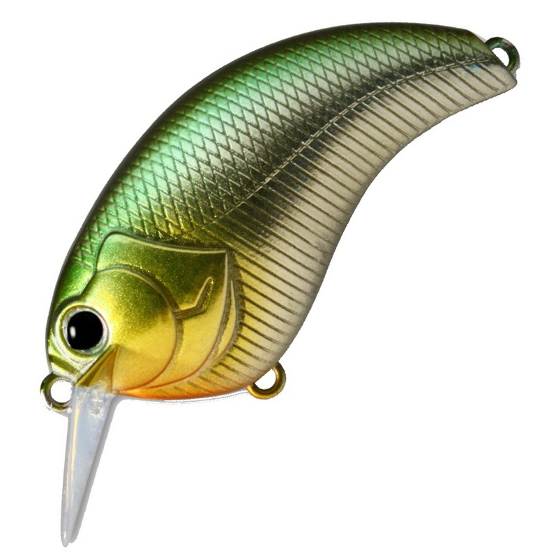 EVOKE 2.0 [Brand New]