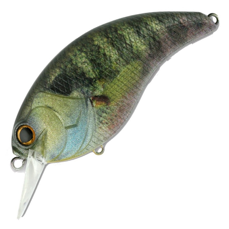 EVOKE 4.0 [Brand New]